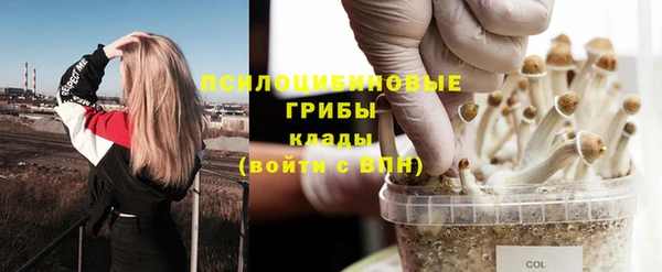 стафф Абдулино