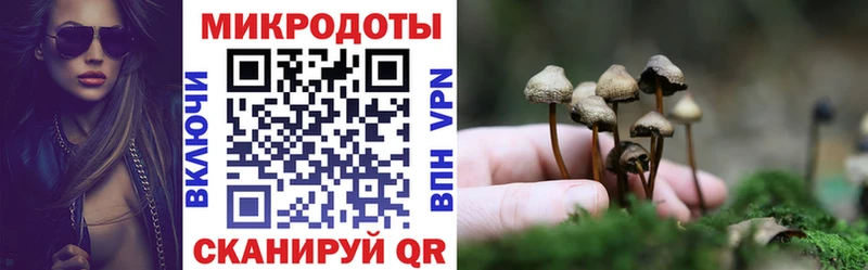 Галлюциногенные грибы мицелий  Кимовск 