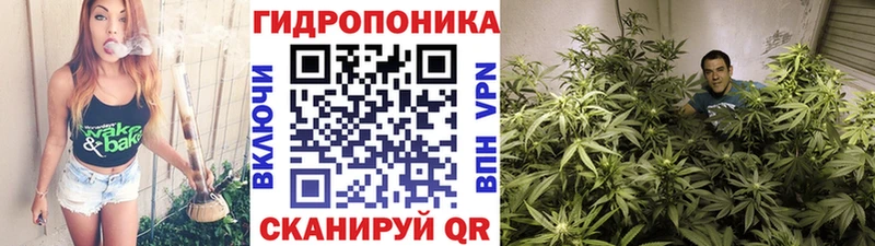 Бошки Шишки Bruce Banner  закладка  Кимовск 